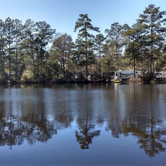 Meet your Posher, Sandra - Picture 1 of 1